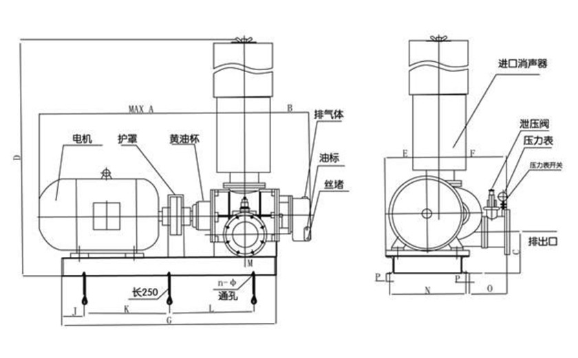 FSR普通羅茨鼓風(fēng)機(jī)結(jié)構(gòu)圖（直聯(lián)傳動(dòng)）